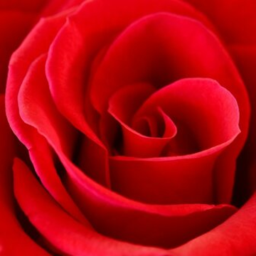 30 de Marzo — Cumpleaños — Personal