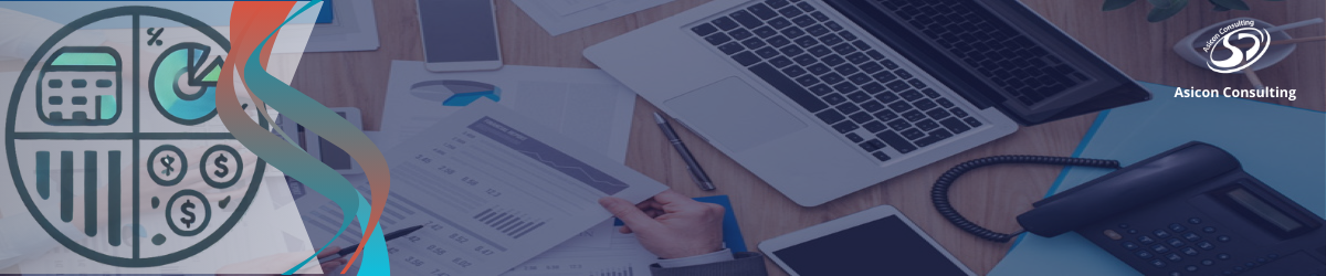 Advanced budget management solutions: Financial models and guidelines