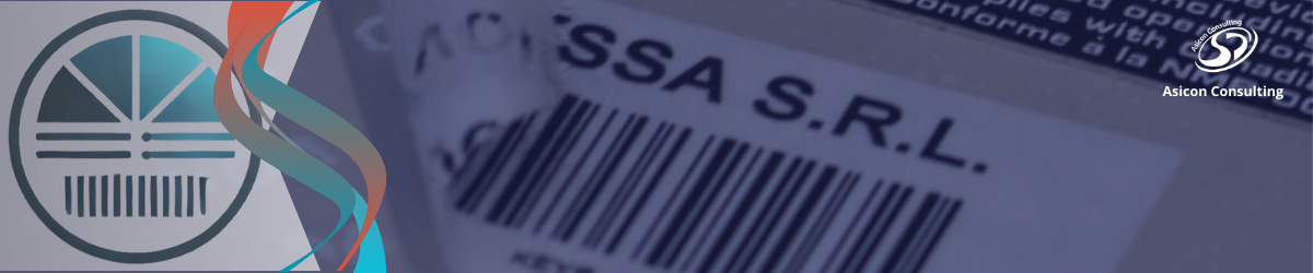 Fixed asset inventory count: Efficient management and control of assets